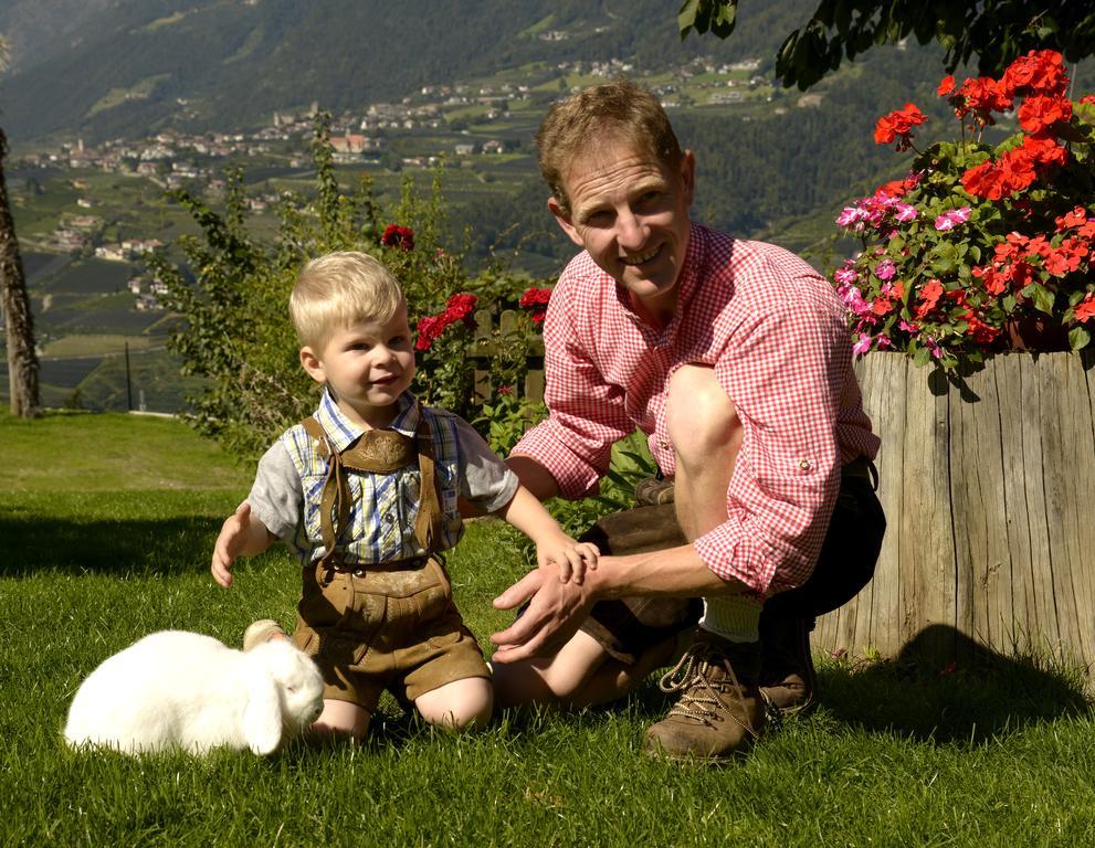 Krebishof Agriturismo Schenna Eksteriør bilde
