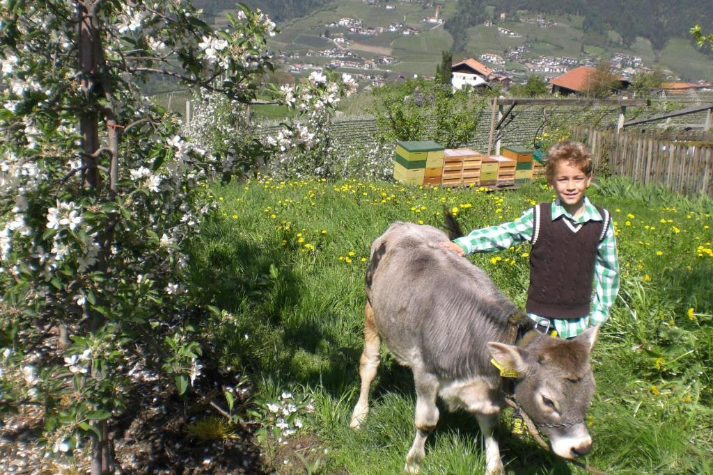 Krebishof Agriturismo Schenna Eksteriør bilde